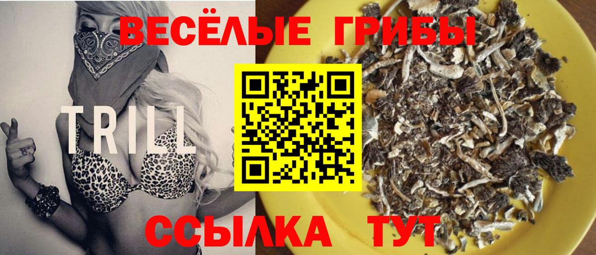Псилоцибиновые грибы Cubensis Котовск
