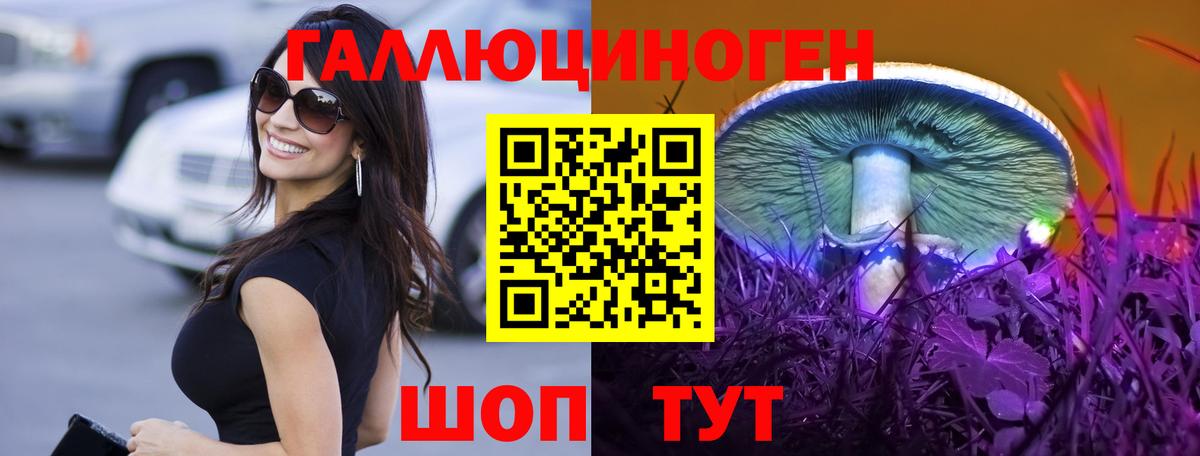 Котовск  что такое   Вход с VPN  Галлюциногенные грибы Psilocybe 